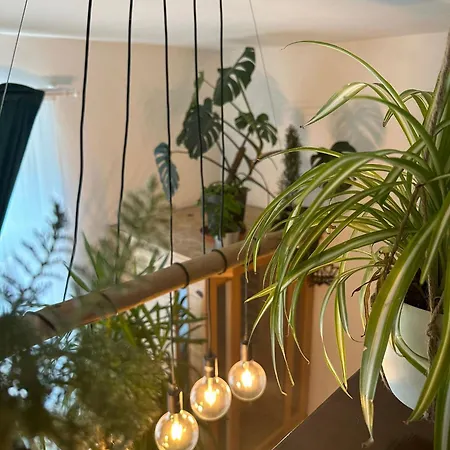 Garden 德辛