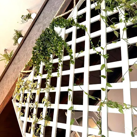 Garden 公寓 *